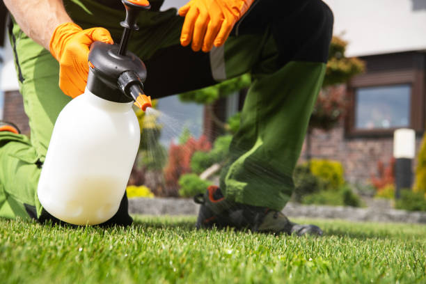 Best Pest Prevention Services  in Itta Bena, MS