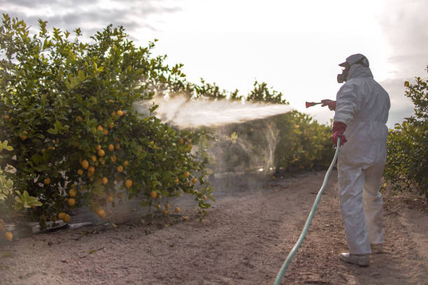 Best Exterminator Services  in Itta Bena, MS